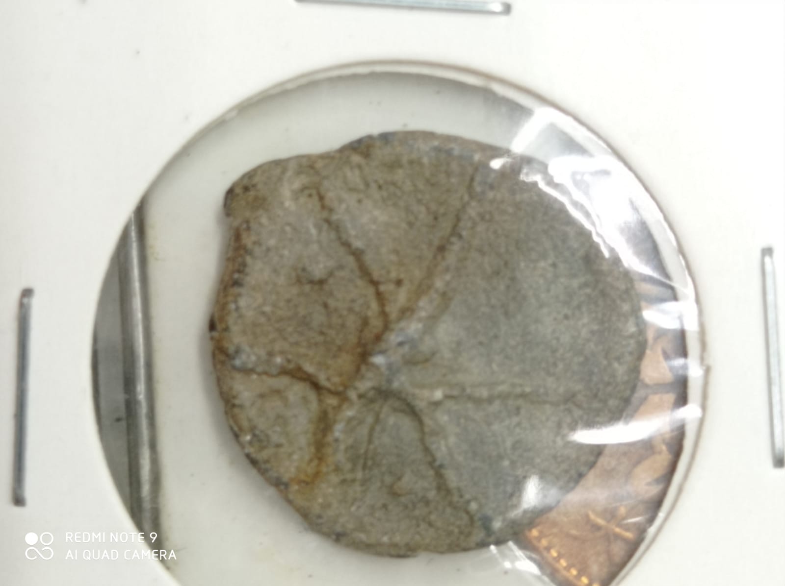 Help-Needed-For-Identification-Of-Coins